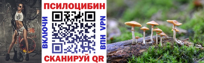 дарнет шоп  Электроугли  darknet официальный сайт  Псилоцибиновые грибы ЛСД 